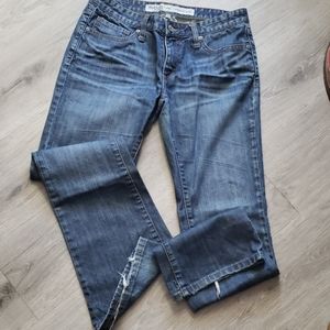 Denim Jeans Charlotee Russe 6S